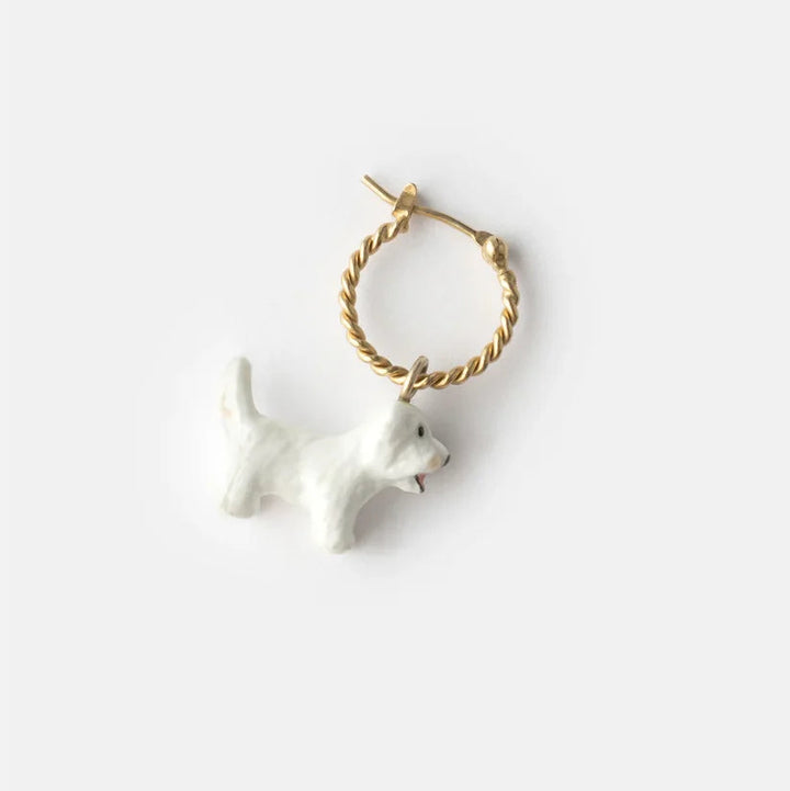 Mini créole chien Coton de Tulear - Vendue à l&